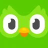Duolingo app icon